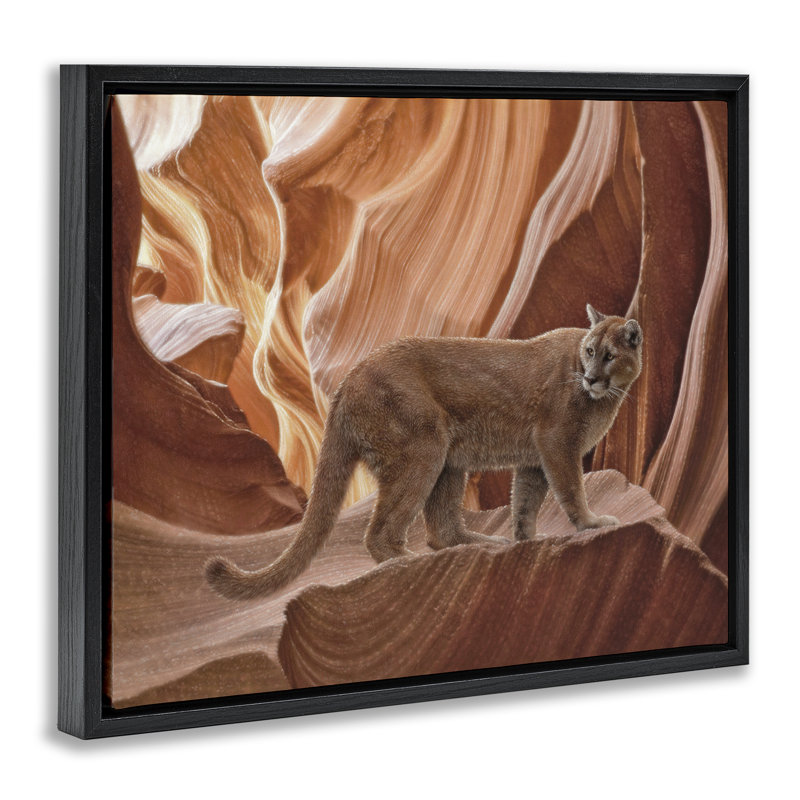 Cadre flottant Cougar Canyon View, design par Collin Bogle, Cadre flottant noir de jais, H 17 po x l 21 po