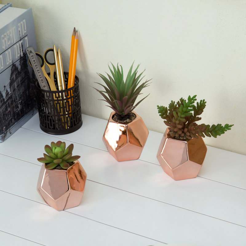 Plante grasse artificielle 6,9 po dans un pot en céramique