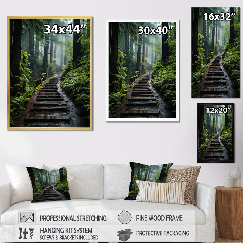" USA Muir Woods National Monument I ", Gold Single Picture Framed, 32" H x 24" W x 1" D