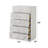 Esther White & Silver High Gloss Chest