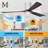 Olivier Ceiling Fan with LED Lights-1559725784-1559777870-1483043070