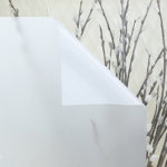Plants & Flowers Non-Wall Damaging Window Sticker And Film
