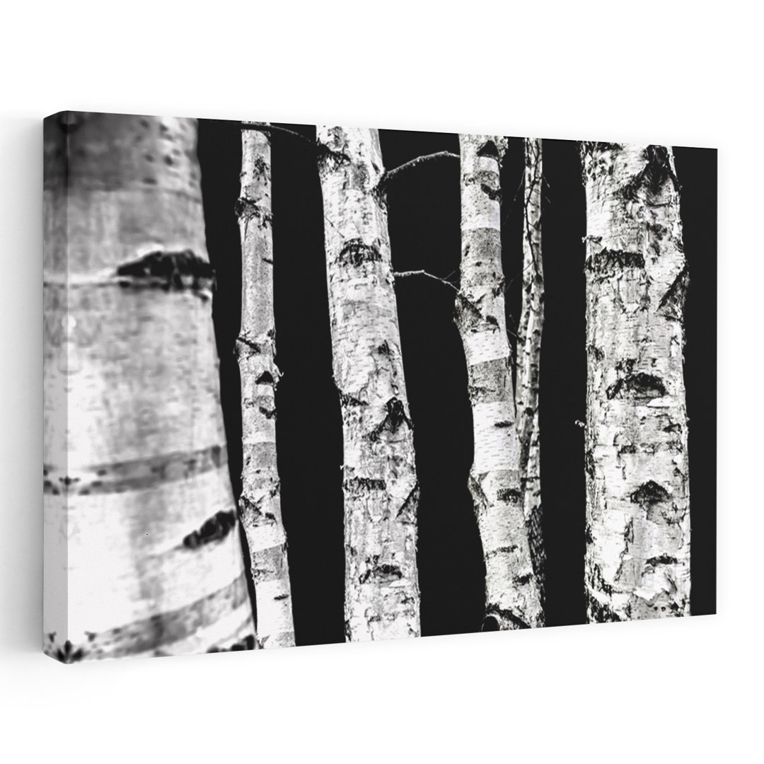 Birch Trees Abstract Contemporary Forest Landscape Wall Art Print
