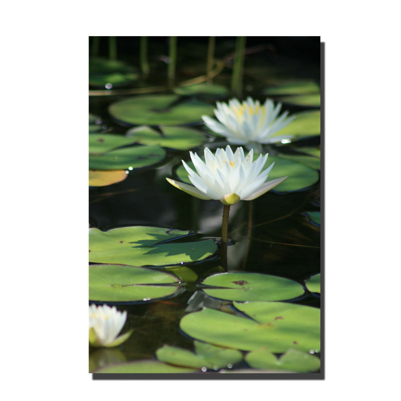 « jolie lilies » par patty tuggle, reproduction de photo sur toile, H 24 po x l 16 po x P 2 po