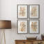 Parchment Coral I - ensemble de 4 reproductions de cadres photo-2014908190-2014908185