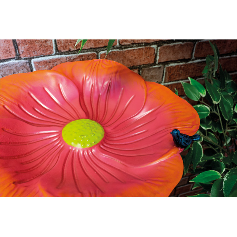 Meranda Metal Single Tier Birdbath