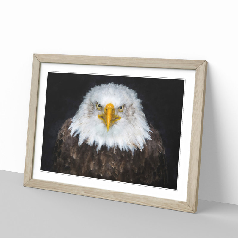 Bald Eagle Bird - Picture Frame Painting Print, Oak, 33cm H x 45cm W x 2cm D