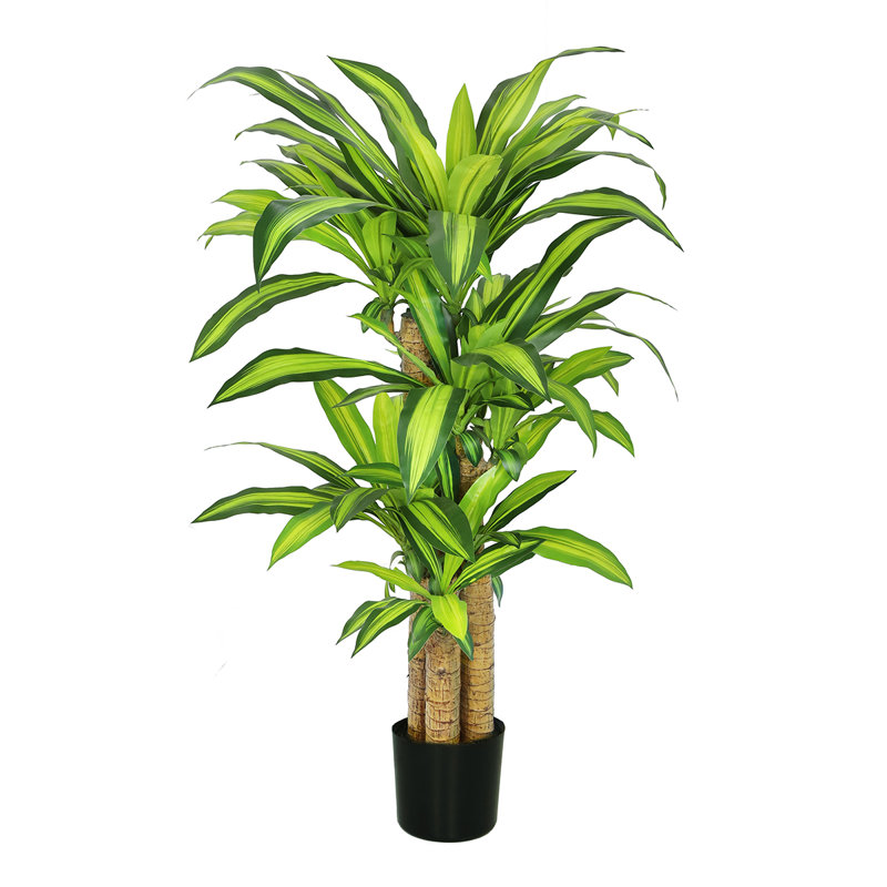 Arbre Dracaena artificiel Kilgore en pot