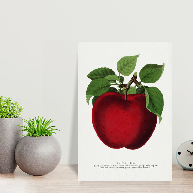 Art mural rétro Mcintosh Red Apple, H 18 po x l 12 po