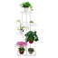 Plant Stand-1119062097