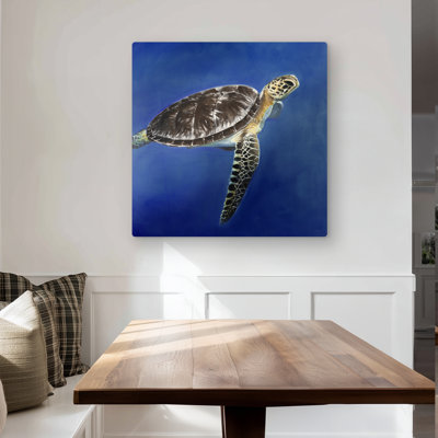 Turtle in the Ocean - Brown Marine Metal Print for Home Decor