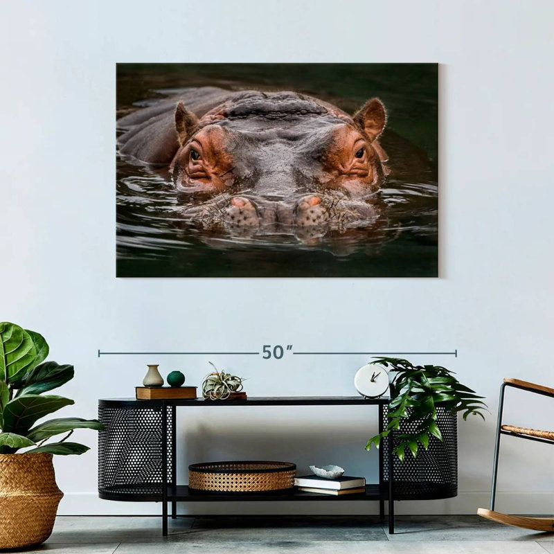 Hippopotame submergé Brampt, H 30 po x l 45 po