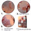 Resilliant Roses Sunlight sur impression sur toile-400250800-400250801