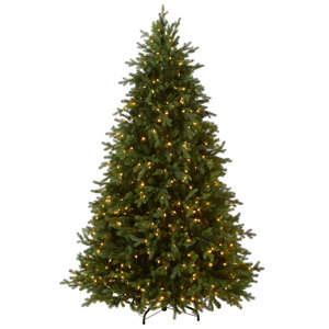 Three Posts™ Princeton Fir Lighted Christmas Tree & Reviews | Wayfair