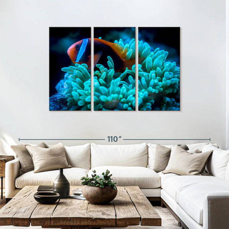 Brampt Tomato Clownfish, 48" H x 74" W