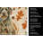 Chestnut Wirehaired Pointing Griffon Heirloom Fall Kitchen Towel-1218231106