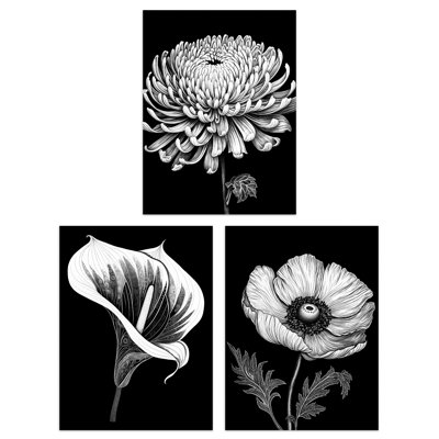 Elegant Striking Poppy Chrysanthemum Calla Lily Floral - 3 Piece No Frame Print Set