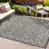 Deronte Vintage Filigree Textured Weave Light Gray/Black Indoor/Outdoor Rug
