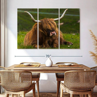 Brampt Highland Cow sur herbe