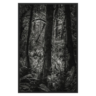 Lowland Winter Forest No 11, Tiger Mountain Print by Bisig, Steve