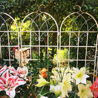 Treillis de jardin en métal antirouille de 86,7 po x 19,7 po, blanc crème, pour plantes grimpantes, support de fleurs extérieur, tuyau rond galvanisé blanc de 19,7 po