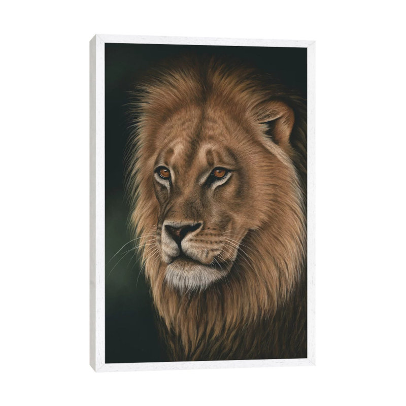 Lion Portrait by Richard Macwee - Gallery-Wrapped Canvas Giclée on Canvas, White Framed, 152.5 cm H x 101.5 cm W