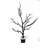 48'' Tree in Wood Planter-234078344-234078345