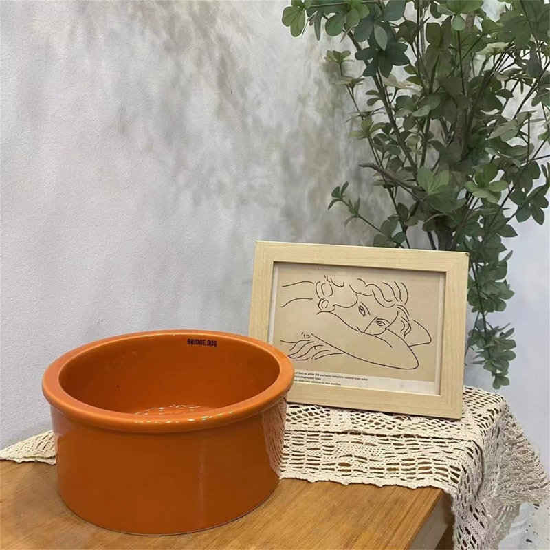 Pet Bowl, Orange