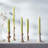 Root Candles Unscented Taper Candle-52258595-52258598