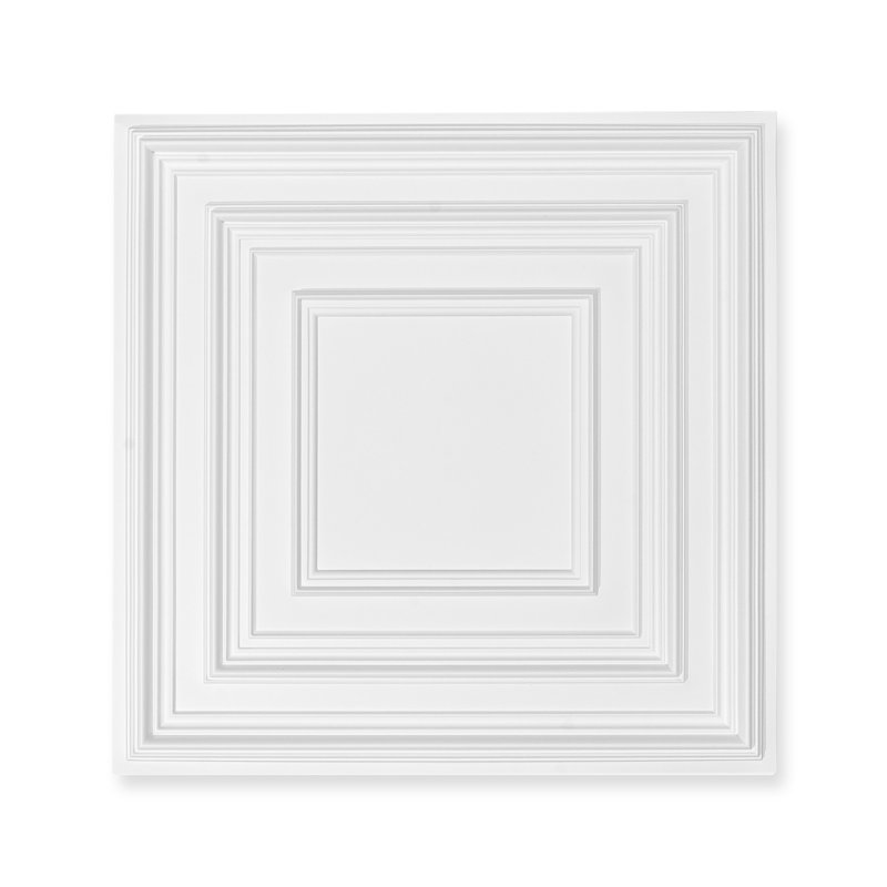 Ceiling Tiles, 12-Pack 24 x 24 in, Drop Ceiling Tiles Premium PVC Sheet, Easy Installation/ Cutting Plastic Glue-up Ceiling Tile, Ceiling Covering for Home/Office Decoration, White Peg Pattern