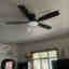 Customer photo 2 of 2