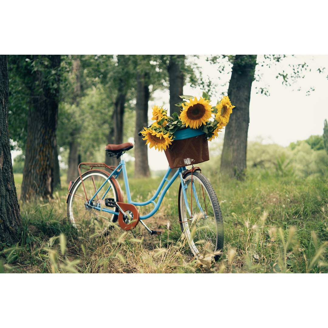 Vintage-Fahrrad im Freien von Bojanstory - Kunstdrucke auf Leinwand ohne Rahmen