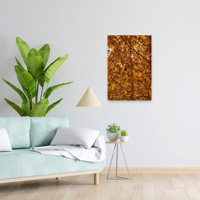 Guanella Pass Sunburst Abstract Contemporary Art