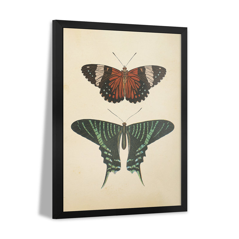 Papillons I - reproduction d'art murale - affiche de galerie, H 32 po x l 24 po