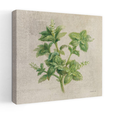 Contemporary Basil With Basil Cream Art