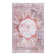 Oriental Indoor Rug