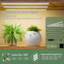 Plant Stand