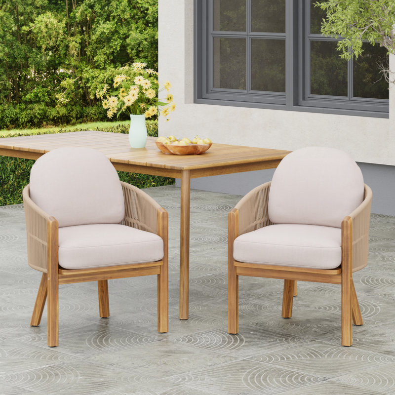 Chaise de salle à manger d'extérieur avec accoudoirs (ensemble de 2)