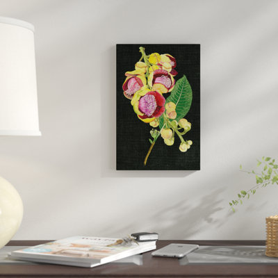 « couroupita guianensis i », reproduction d’impression sur toile