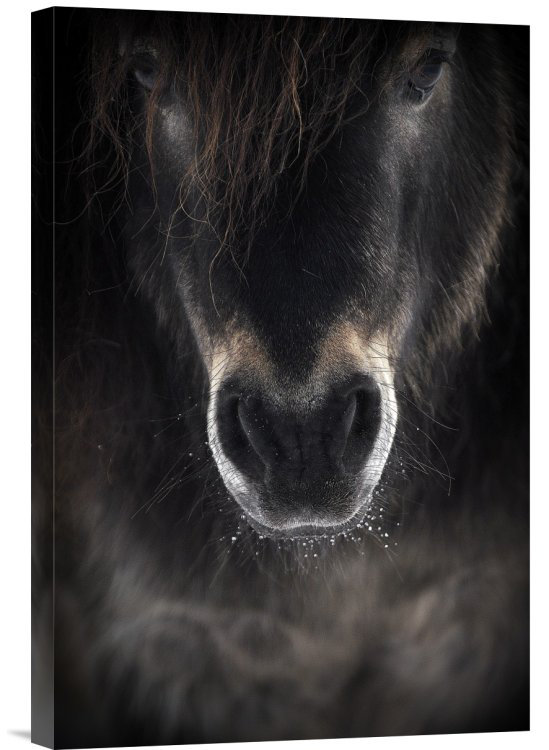 " Ulysses " by P R I, 24" H x 16" W x 1.5" D