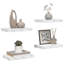 Floating Shelf-148930759-148930767