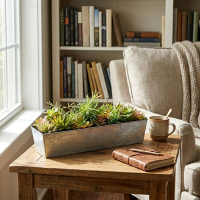 Plante grasse artificielle 4 po en pot