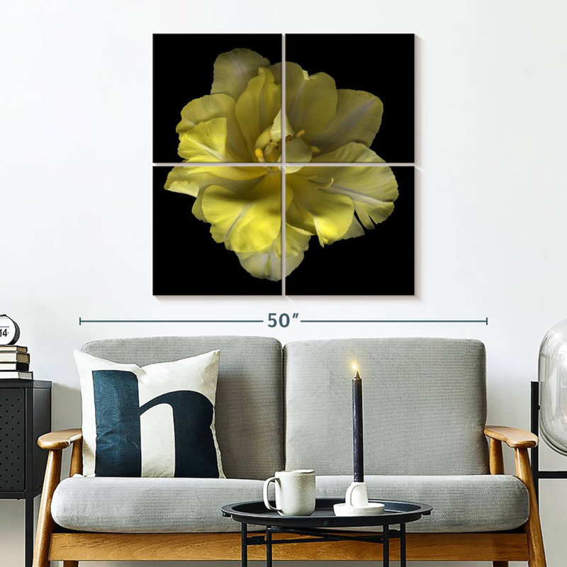 Tulipe jaune Harnek I, H 32 po x l 32 po