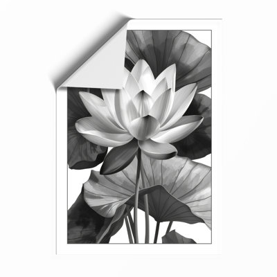 Lotus in Bloom Botanical - Framed Print