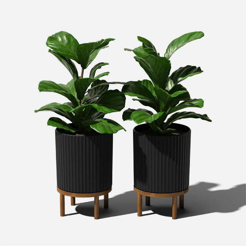Demi Series 12" Black/Brown Planters with Acacia Wood Stand, Set of 2
