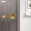 2Pcs Heavy Duty Door Levers with Keys-100673631