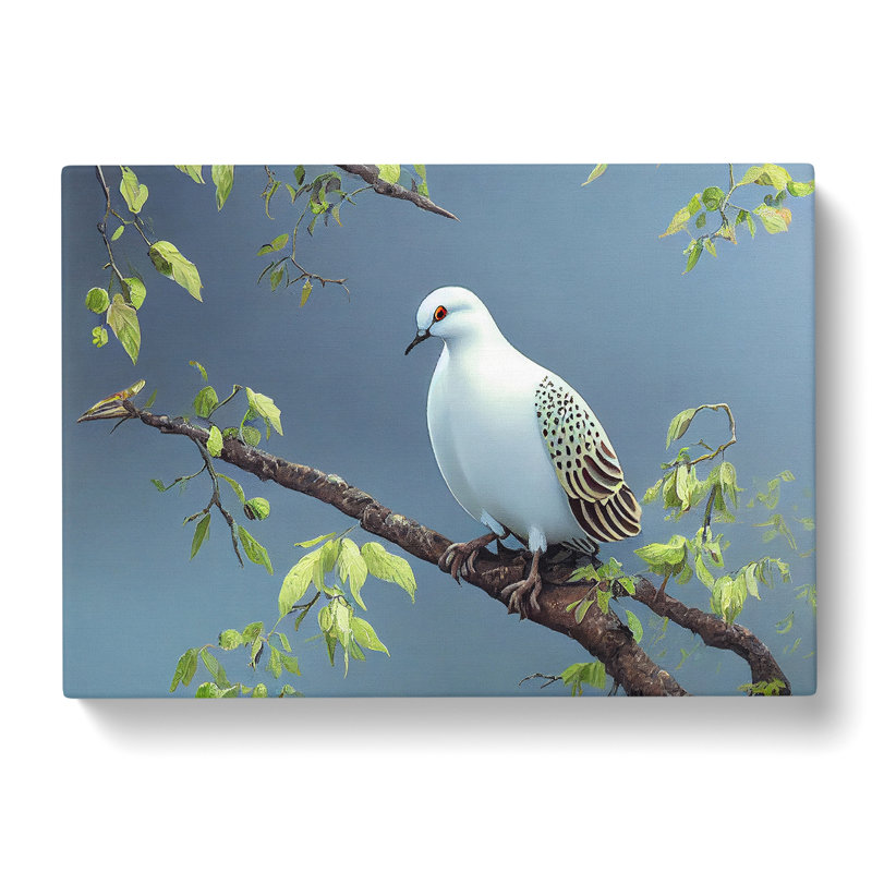 Luscious Dove Bird - Wrapped Canvas Print, 35cm H x 50cm W x 3cm D