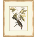 Summer Bird 2 Print