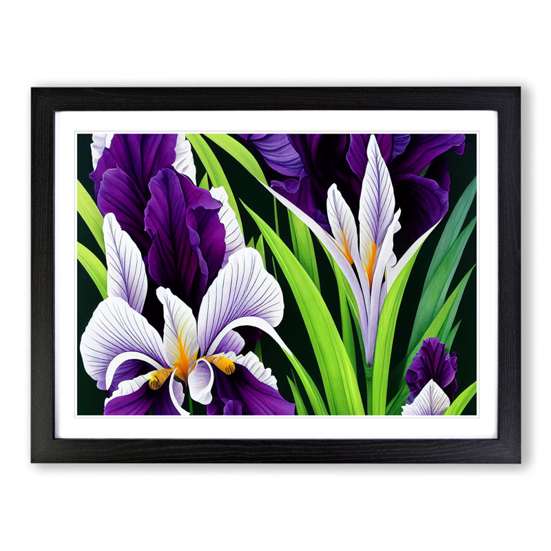 XH1022-6107X Modern Iris Flowers Vol.1 - Single Picture Frame Print, Black, 46cm H x 64cm W x 2cm D