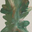 Rorschach Forrest Diptych Painting by Orfeo Quagliata